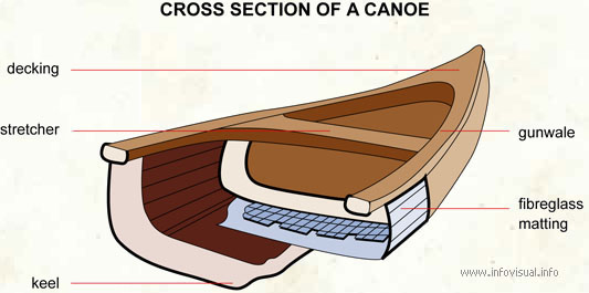 Cross section of a canoe  (Visual Dictionary)